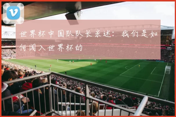 世界杯中国队队长亲述:我们是如何闯入世界杯的