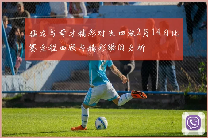猛龙与奇才精彩对决回放2月14日比赛全程回顾与精彩瞬间分析