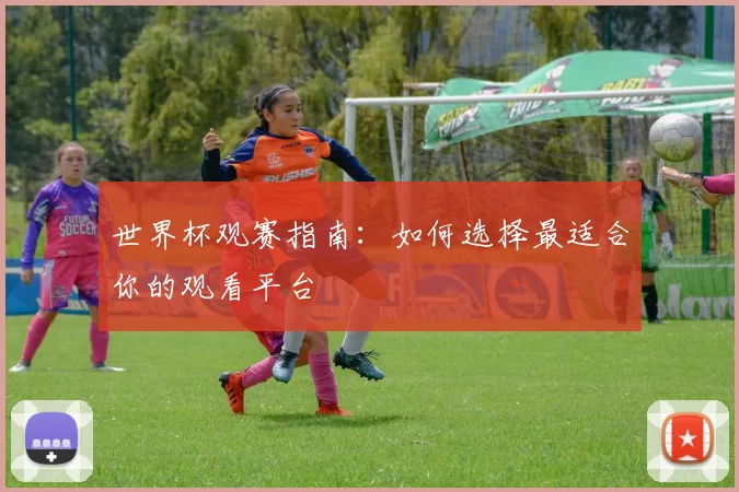 世界杯观赛指南：如何选择最适合你的观看平台