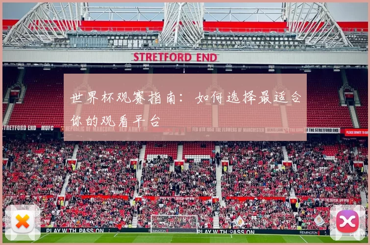 世界杯观赛指南:如何选择最适合你的观看平台