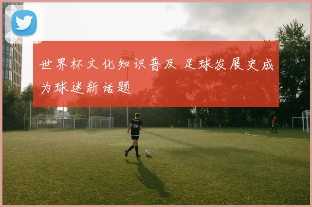 世界杯文化知识普及 足球发展史成为球迷新话题