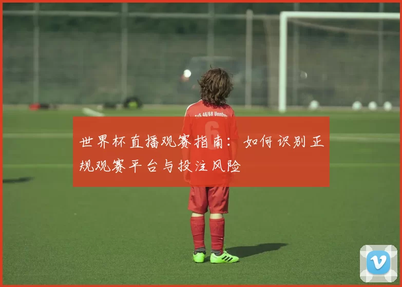 世界杯直播观赛指南:如何识别正规观赛平台与投注风险